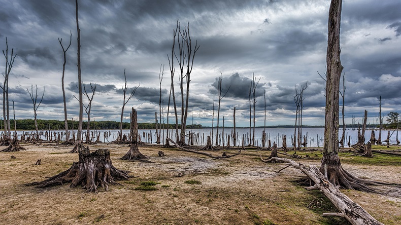 Climate change