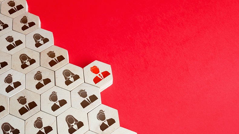 Hire (Andrii Yalanskyi/Alamy Stock Photo)