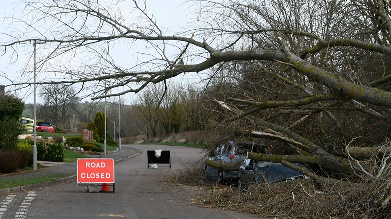 Storm Eunice (2022) (Graham Hunt/Alamy Stock Photo)