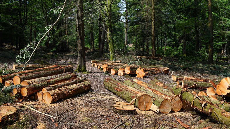 PBWPIX/Alamy Stock Photo