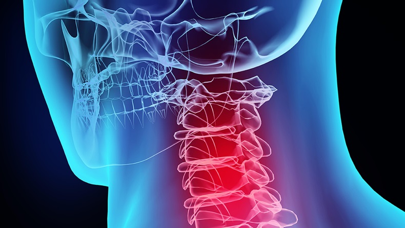  Adisorn Chiamchitr/Alamy Stock Photo