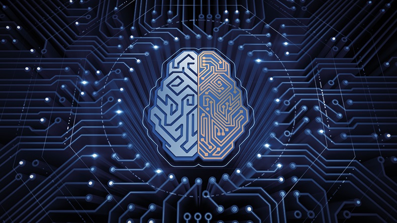 Sergey Tarasov/Shutterstock.com