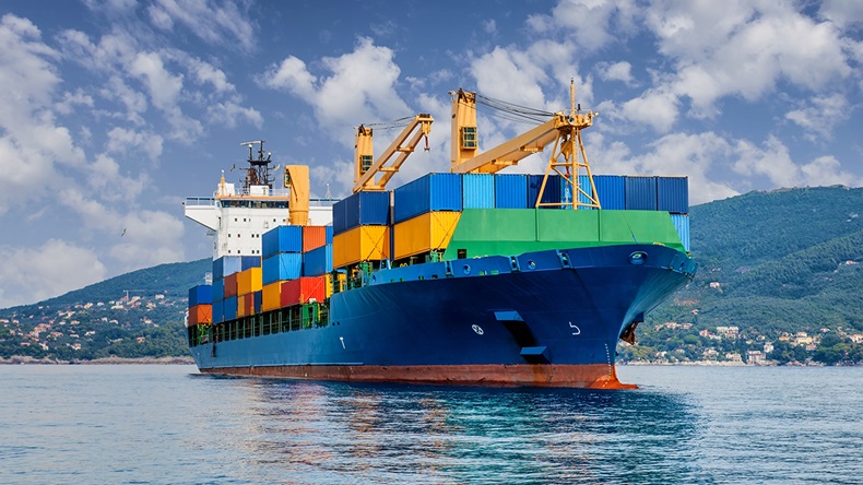 Cargo vessel (Federico Rostagno/Shutterstock.com)