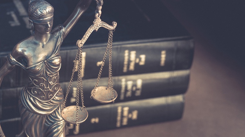 Law (BCFC/Shutterstock.com)