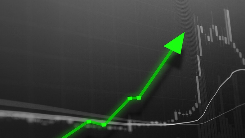 Profitability (Travis Wolfe/Shutterstock.com)