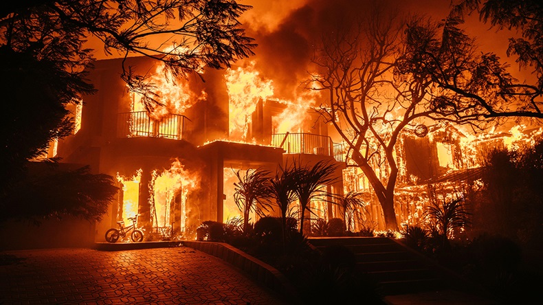 California Palisades fire (2025)