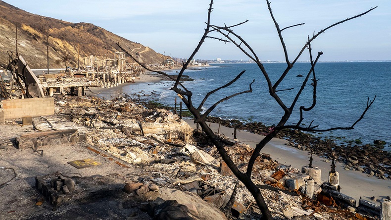 California Palisades fire (2025)