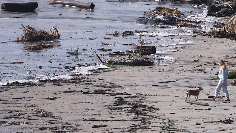 Cyclone Alfred (2025)