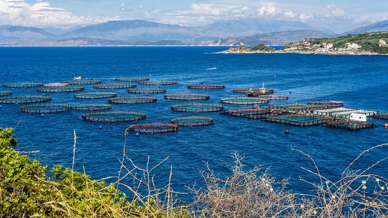 Fish farm
